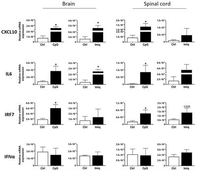 Central Nervous System-Endogenous TLR7 and TLR9 Induce Different Immune Responses and Effects on Experimental Autoimmune Encephalomyelitis